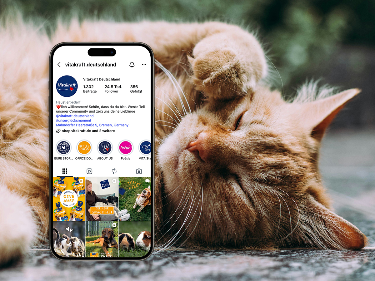 Instagram Account von Vitakraft Deutschland neben einer Katze